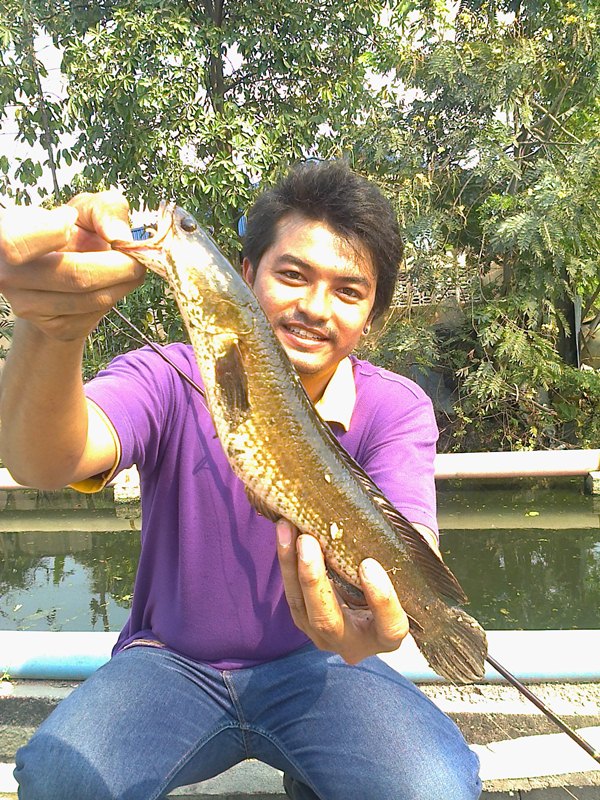 ตัวนี้ไซด์สวยแต่เกือบไม่ได้ตัวซะแล้วกัดแล้วไม่ได้ส่งยกขึ้นจากน้ำเบ็ดหลุดพอดี :umh: :umh: :love: :gri