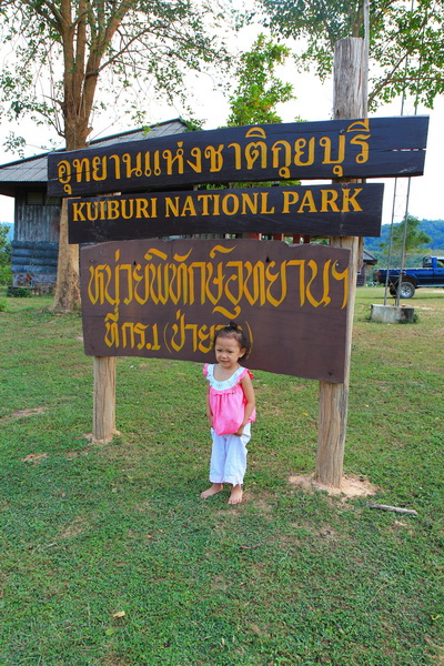  [b]ลูกใครหาย มารับได้ที่อุทยานฯครับ[/b]

 [b]ขอแปะภาพนี้ไว้ก่อน  เดี๋ยวพรุ่งนี้มาเที่ยวชมช้างป่าก