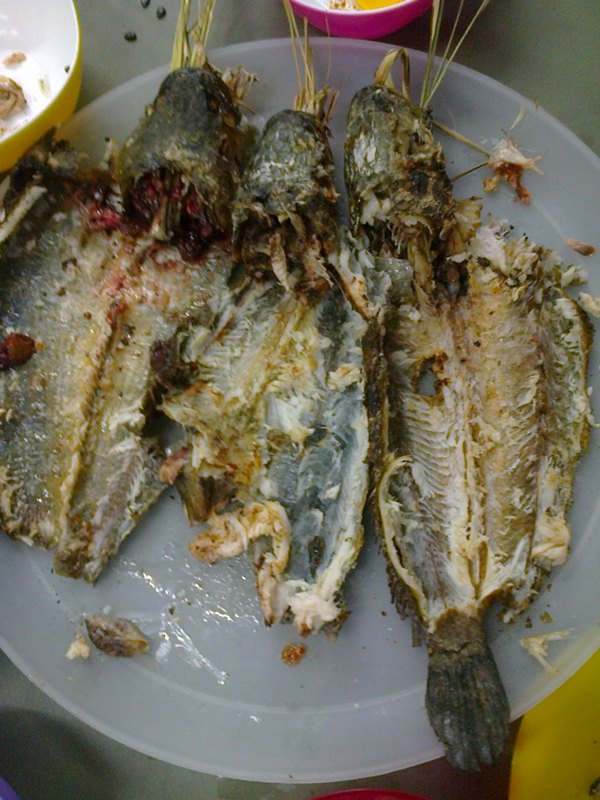 ภาพสุดท้าย!!! :laughing: :laughing: :grin:

[b]ตกให้พอดีกินไม่ต้องขังอยากกินก็ไปตกใหม่ตกไม่ได้ก็ไม