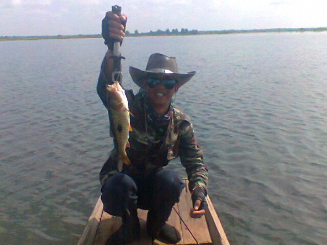 กระสูบจุด  เดือด