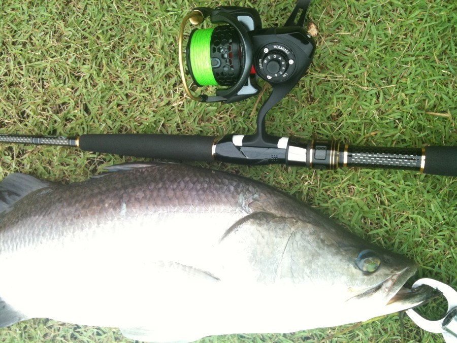 Megabass Lin 258HM กับ คัน Morethan Branzino  :grin: