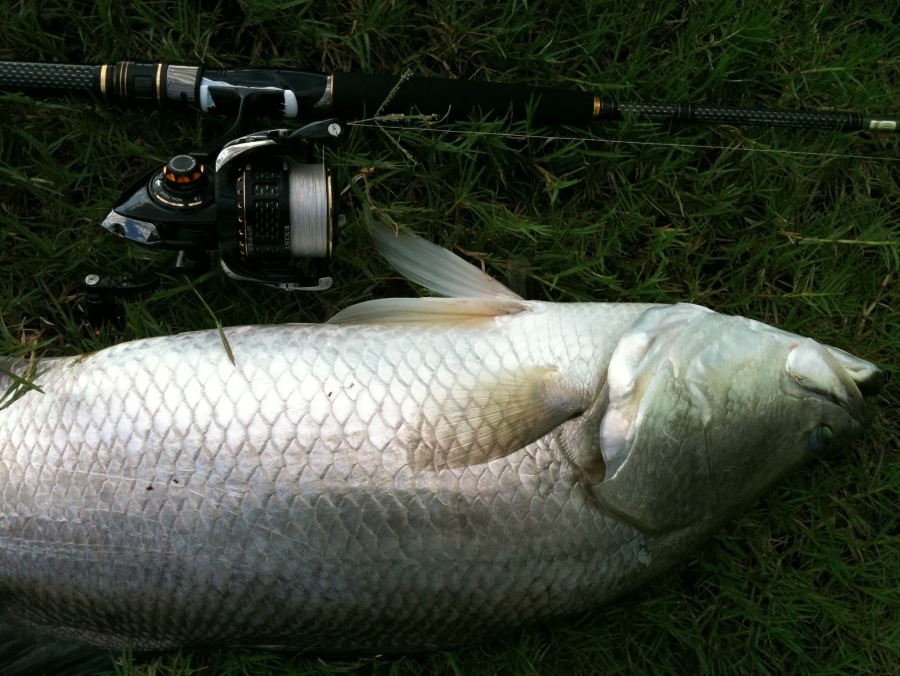 Daiwa Exist Morethan Branzino set ครับ  :grin: