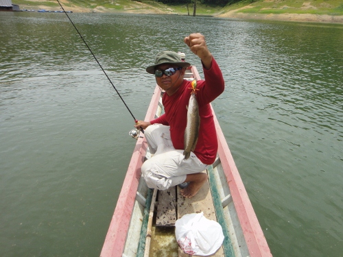 เรือลำนี้
