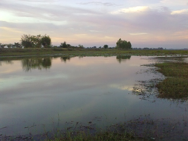 สภาพหมาย อ่งเก็บน้ำห้วยตลาด หรือสวนนก ครับ อ.เมือง จ.บุรีรัมย์
