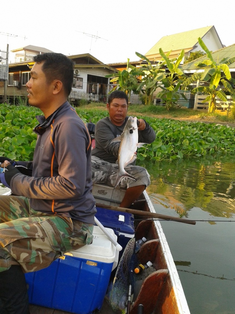 ต้นกับเทโพ