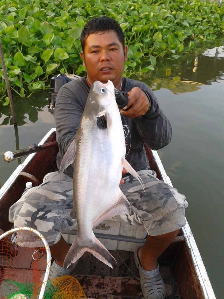 ผัดฉ่าครับตัวนี้