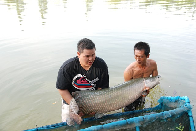 อ้าว ............. ฮึบบบบบบบบบบบบบ