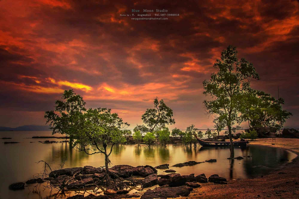 ภาพในอดีตของหาดบริเวณบ้านตันหยงโป จ.สตูล ขณะนั่งทานอาหารทะเลสดๆ จากร้านข้างทางครับ บันทึกโดย d90 + K