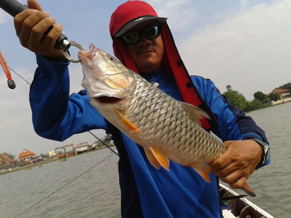 กระสูบใหญ่ๆๆ