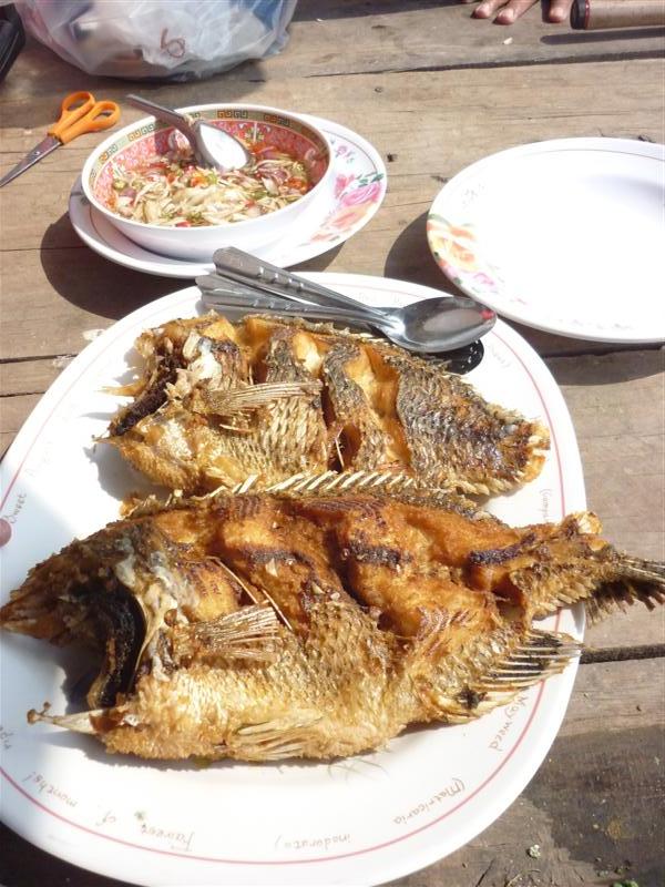  ตัวตัวยุ่งผมได้กลิ่นนี่ล่ะครับ ตาอู๊ดแกคัดไซส์พอดีกินมา ไปออกทริปทีไรตาอู๊ดชอบนิลทอดครับ  :umh: