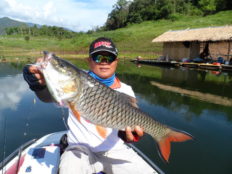 [q][i]อ้างถึง: auredfish posted: 07-01-2556, 20:21:46[/i]

มันสุดยอดมากๆเลยครับ Rapala Clackin' M