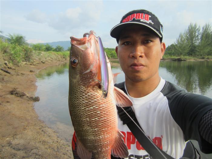 Rapala Max lap มีไว้ติดกล่อง ไม่เคยทำให้ผิดหวัง