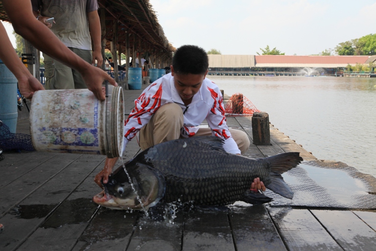 นิดๆหน่อยๆ ณ บึงสำราญ (30) 1โห้ 3ลี่ ตกกันง่ายๆ