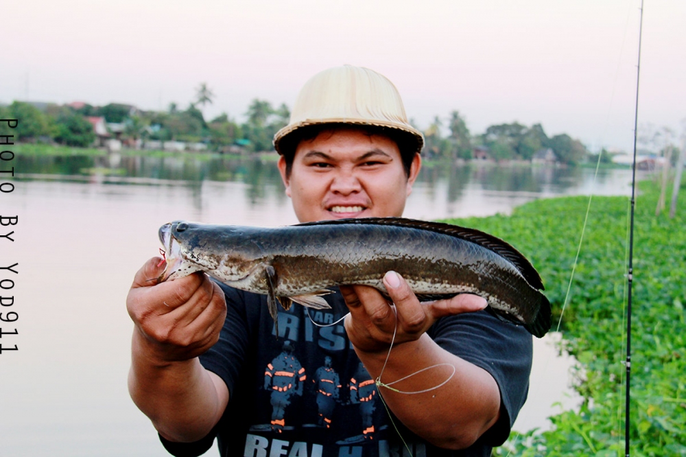 พอมาถึงหมาย ถามจิงๆๆจะตกคนเดียวเลยใช่ไหมห๊ะ :laughing: :laughing: :laughing: