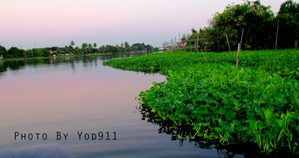  [b]ขอลากันด้วยภาพนี้ ครับ ความสุขของนักตกปลาไม่ใช่เพียงแค่ได้ปลา หรือ ไม่ได้ปลา แต่ถะว่าความสุขนั้น