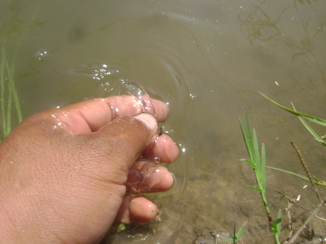 ปล่อยครับไวมากจับภาพไม่ทัน เลยเห็นแต่มือผม :grin: :grin: :grin: