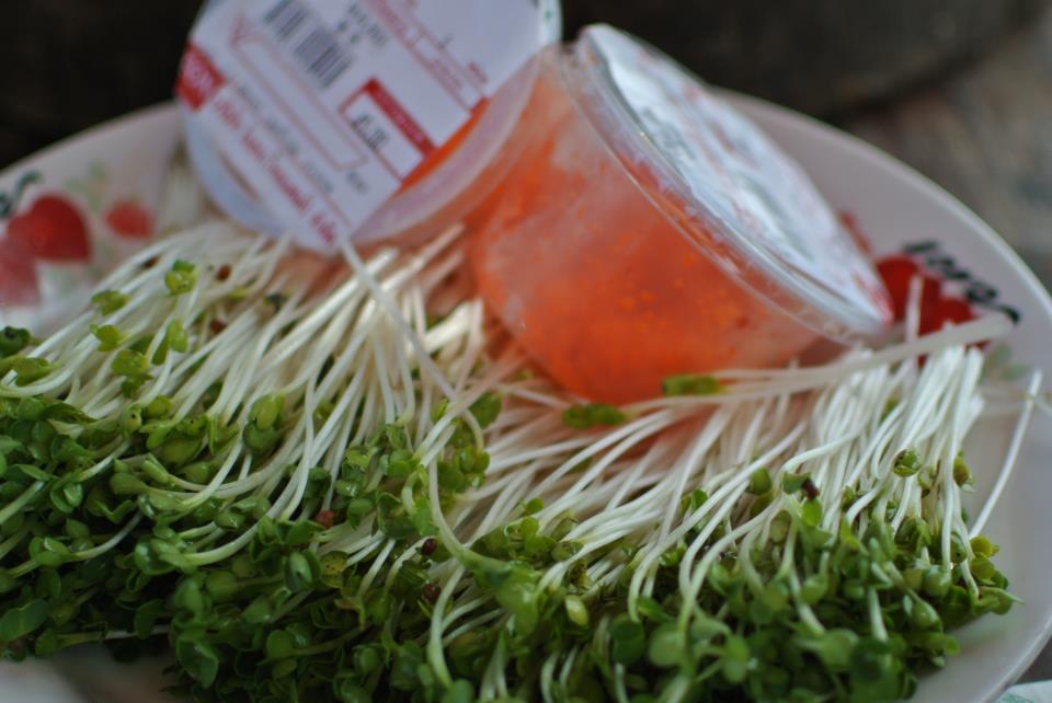 ไข่กุ้งก็มี ผักไควาเระก็มา :grin: