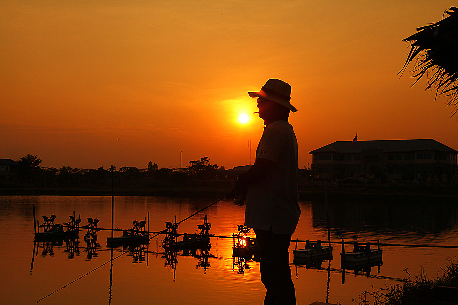 จบที่ภาพนี้เลยครับ สุดมันครับ ปลากัดดีมาก ทุกคนได้อัดกันทุกคนไม่ได้ถ่ายภาพปลาชะโดไว้เลย จิมมี่เล่นไป