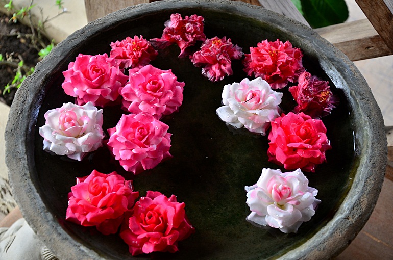 สดชื่นดีจัง :love: