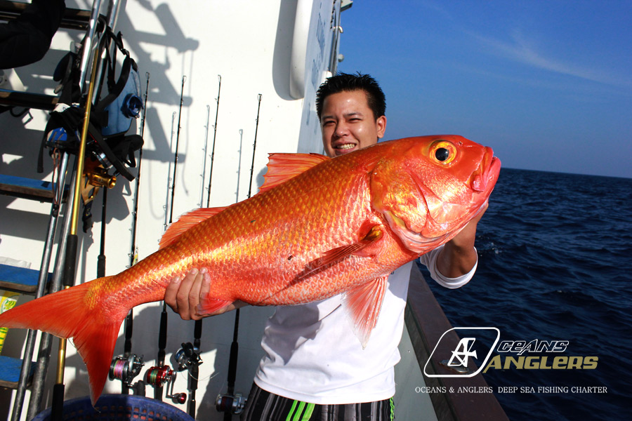 OC&A Fishing Charter TRIP 12-16 JAN 2013 สนุกสนานพาเพลินเช่นเคย