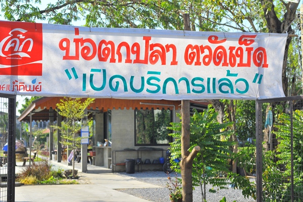 วันนี้ขอมาลองบ่อนี้หน่อยแล้วกันคับ :grin: