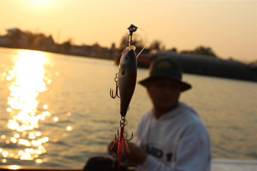 เค้าเลือกใช้ตัวนี้ครับ Rapala Skitter Pop 7 cm :love: :love: :love: