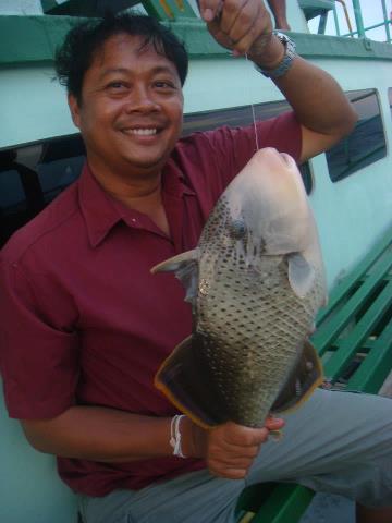 พี่โชค
ได้ของดีมาเเล้วชนข้าง..5 ล้าน
