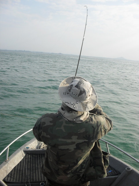 [q][i]อ้างถึง: F24 posted: 20-01-2556, 07:01:32[/i]

 :cheer: :cheer: :cheer: :cheer:
Fishn2gthr4