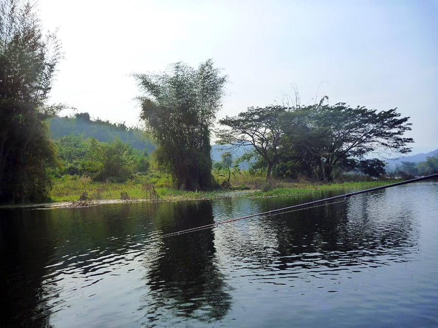  [center]ปลั๊กเล็กๆอย่าง Sinking CD-1 ที่ใช้บ่อยที่นี่ ปกติตีชิดชายป่า หรือ ชายสาหร่าย ดึงออก เจิร์ค