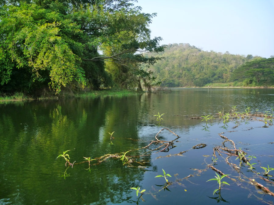  [center]สภาพหมาย ร่มรื่น สวยงาม เป็นธรรมชาติ เหมาะแก่การพักผ่อน[/center]