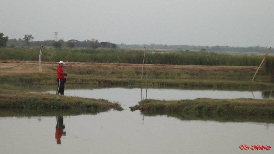 [q][i]อ้างถึง: FiShinGPex posted: 24-01-2556, 15:12:49[/i]


            :love: :love: :love: :lo