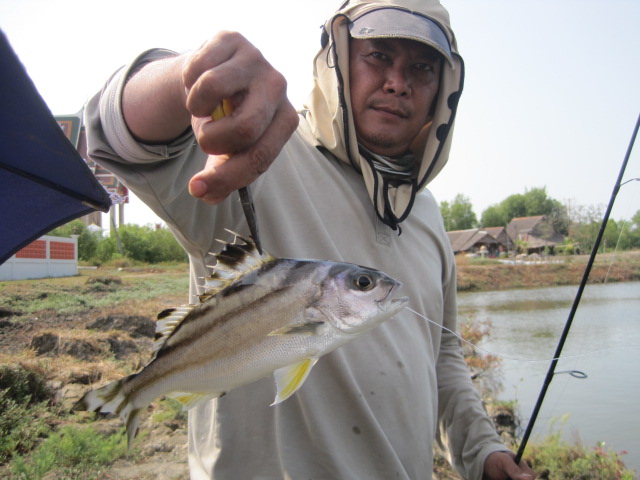 ข้างตะเพรากินทุนลอย ไซร์สวยเหมือนกัน
 :cheer: :cheer: :cheer: :rose: