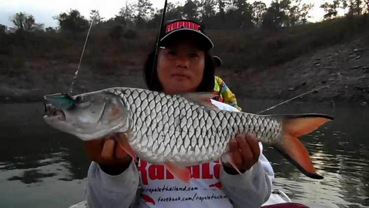 กระสูบไซส์ไม่ธรรมดา
กับ Rapala Clackin' Rap