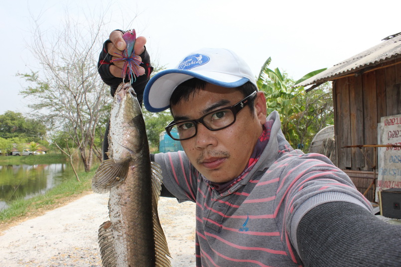 อันนี้แถม  ไม่เกี่ยวกับ  Texas rig นะครับ


 :grin: