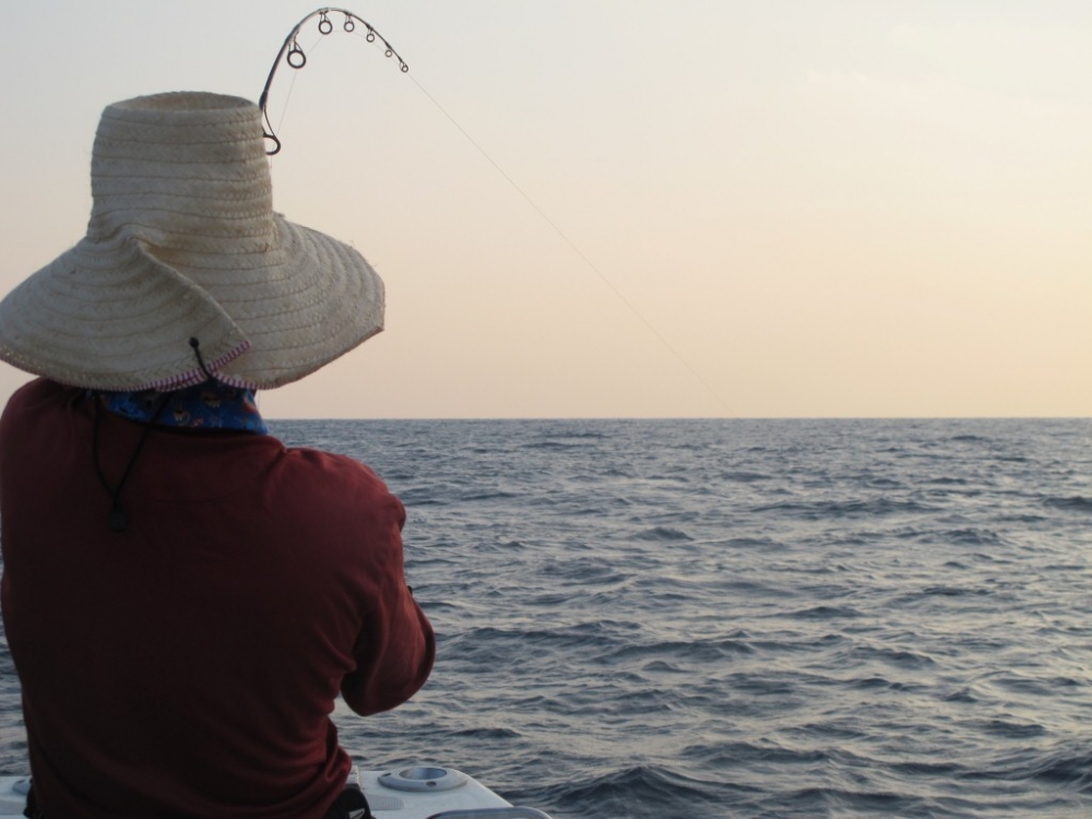 First Class Fishing กับ  Royal Polaris