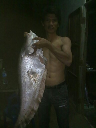 ปลากรายใหญ่ๆ