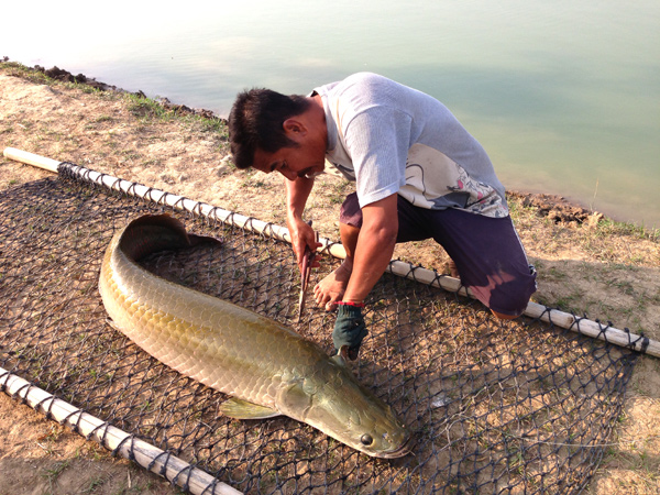 สุดท้ายต้องเอาออกทางนี้ครับ  เรียบร้อย