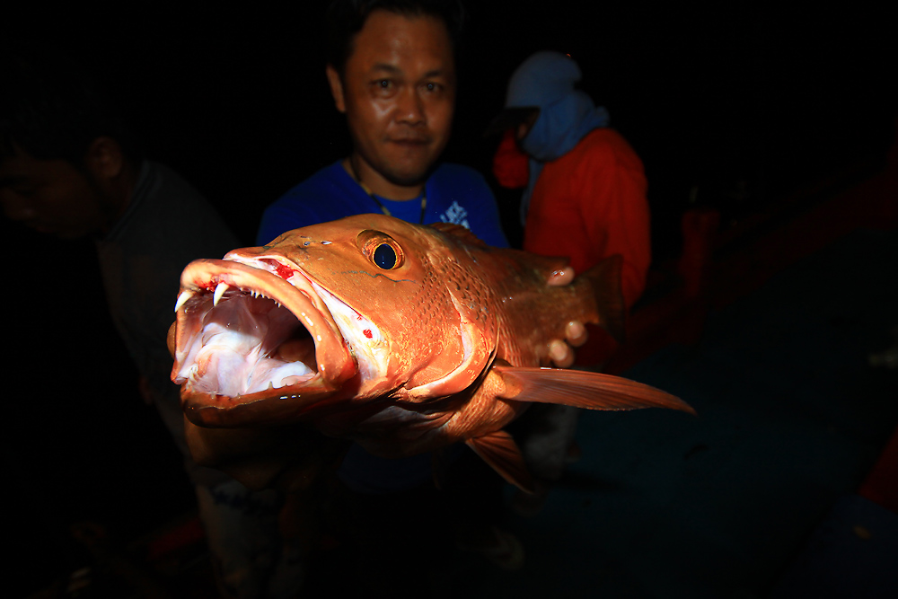  ''อันดามัน'' ทริบแห่งความสุข