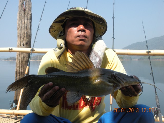 ยื่นยันว่าผมตกได้คับคุยใหญ่  กดไซ้ร์ 2 โลพอดีหย่ายมาก