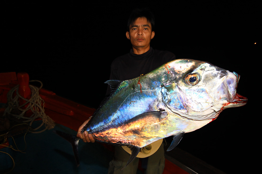 แต่ก็คุ้มนะไซค์ดีทีเดียว
 :cheer: :cheer: :cheer: :cheer: :cheer: