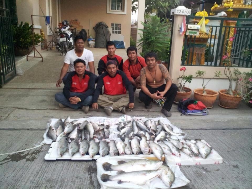 Fake Fish team ครับผม