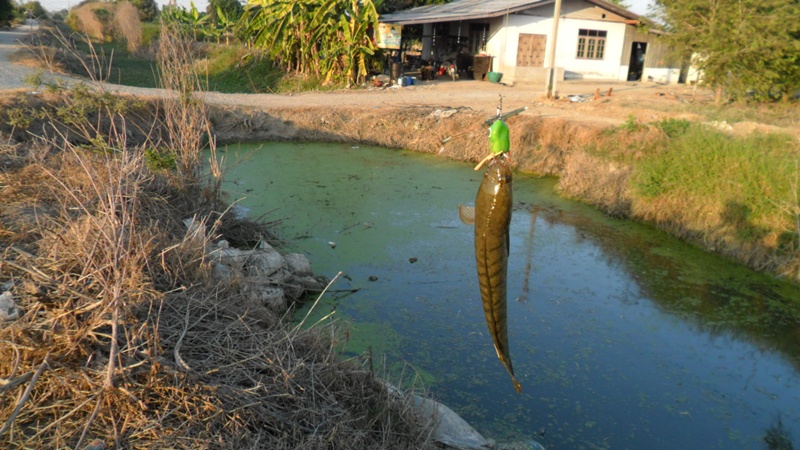 
        ""แกล้งหนูยังไม่พอ  ยังมาเก๊น้องของหนูอีก"" :sad: :sad: :sad: :sad:


             