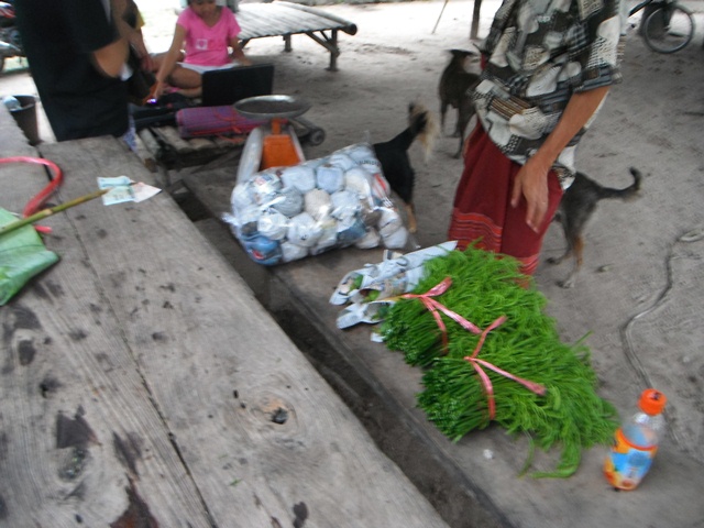 ของป่า