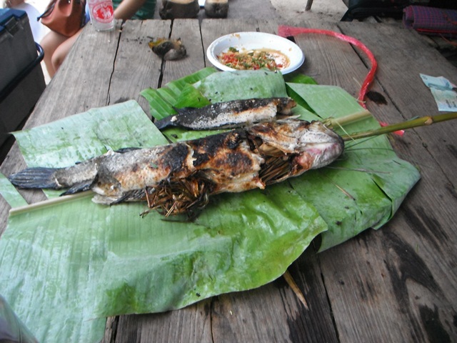 ปลาตัวสุดท้าย