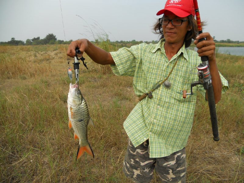 ว่าแล้วก็จัดกระสูบขีดมาอีกหนึ่งหน่วยกับ Rapala Crankin Crank
 :grin: