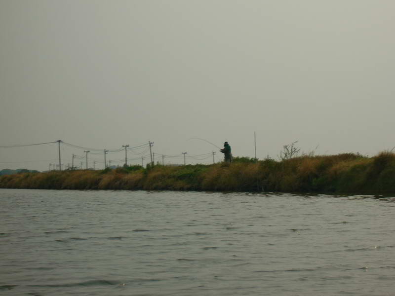 ภาพนี้ผมถ่ายบนเรือครับ เพราะผมตีนางแบบผมไปเกี่ยวไม้ที่ปักเอาไว้กลางบ่อ :cheer: :cheer: :cheer: