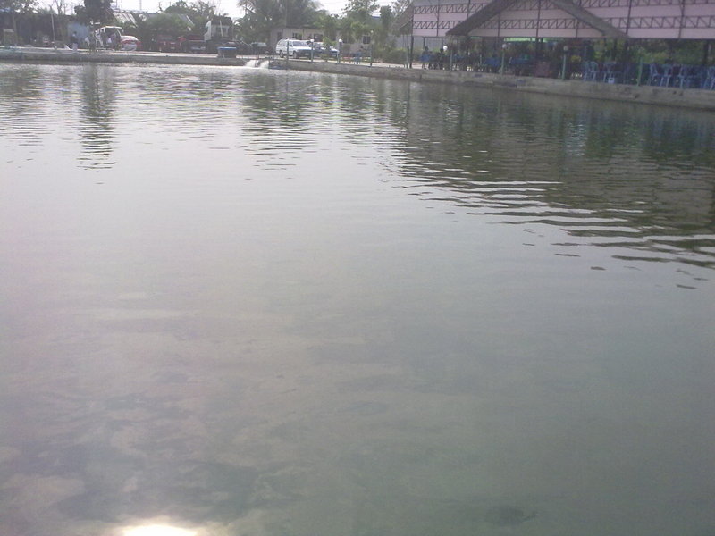 สถานการณ์เหมือนเดิมครับ คือ อาทิตย์นี้ก็ยังเปิดระหัดเหมือนเดิม
ระหัดคู่น้ำแรงม๊วกกกกก ขนาดตกฝั่งข้า