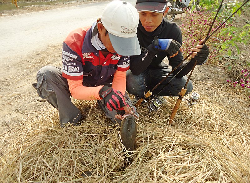 อ้าปาก..ของดูฟัน หน่อยซิ หักบ้างมั๊ย !!!    :grin: :grin: :grin: