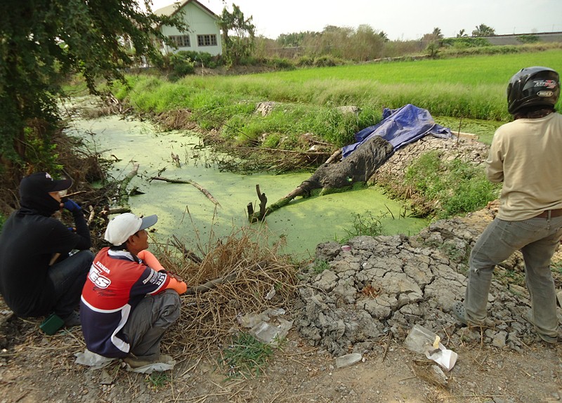 ยังไม่ทัน..ถ่ายรูป นายทัส..มือที่ 1 ตีไป 2 ไม้ ติดกิ่งไม้ ซะงั้น !!!    :laughing: :laughing: :laugh