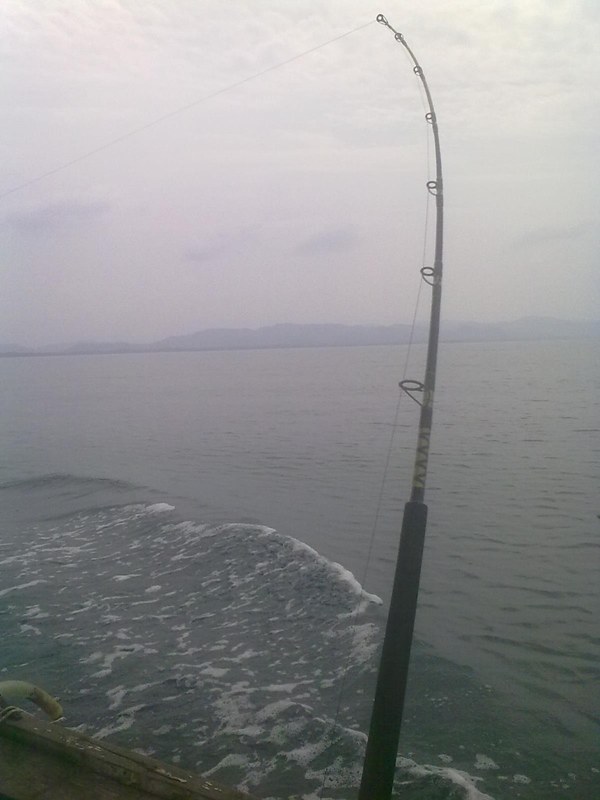 ลากๆๆๆๆ


[q][i]อ้างถึง: ดร.มนตรี posted: 05-02-2556, 22:35:26[/i]

 :cheer: :cheer: :umh: :umh